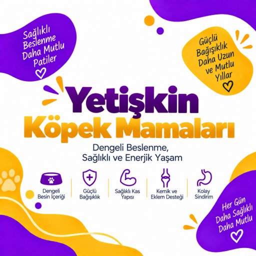 Yetişkin Köpek Mamaları