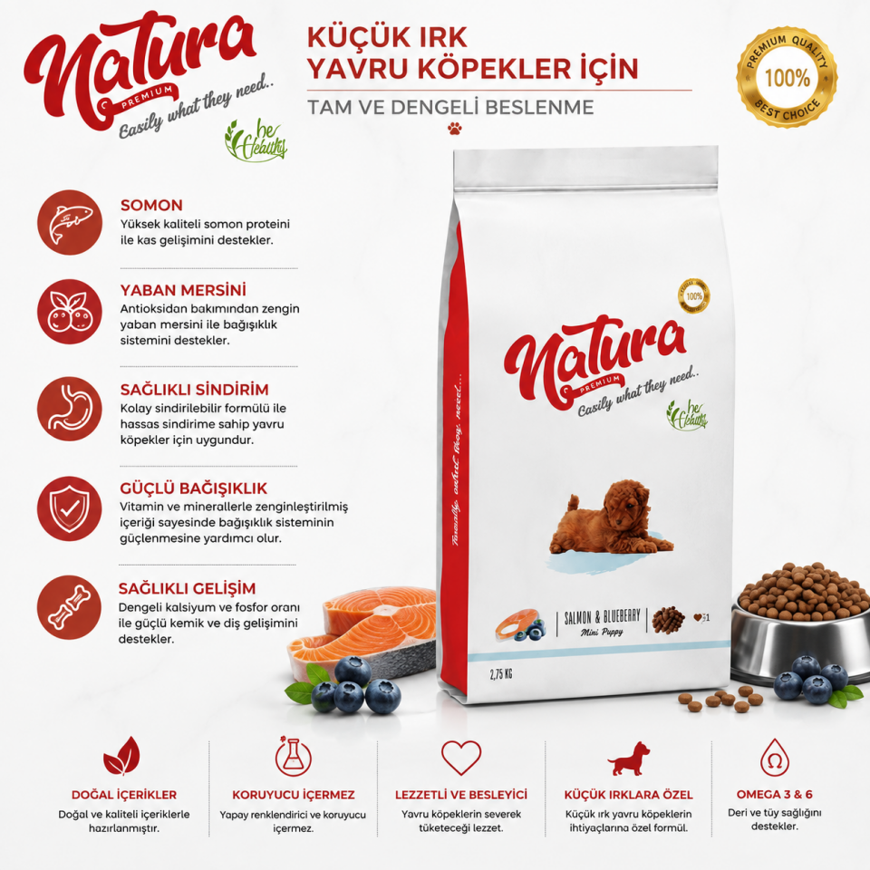 Natura Premium Somonlu Yaban Mersinli Küçük Irk Yavru Köpek Maması 2,75 Kg