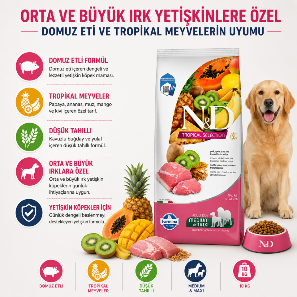 N&D Tropical Selection Düşük Tahıllı Domuzlu ve Tropikal Meyveli Orta ve Büyük Irk Yetişkin Köpek Maması 10 Kg