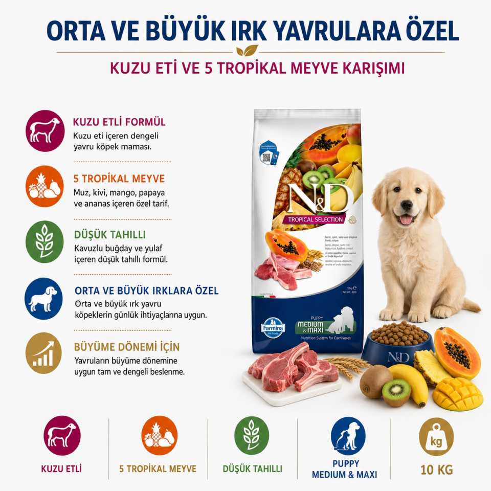 N&D Tropical Selection Düşük Tahıllı Kuzu Etli ve Tropikal Meyveli Orta ve Büyük Irk Yavru Köpek Maması 10 Kg