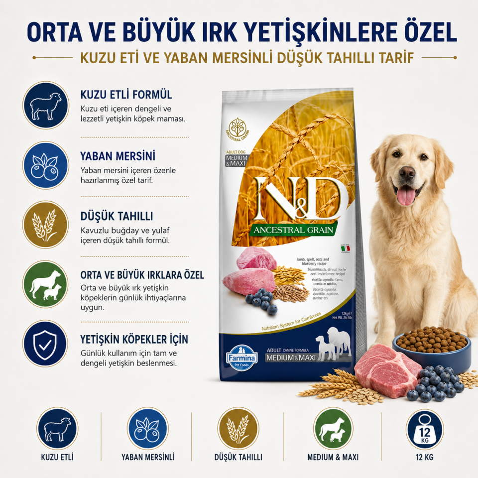 N&D Düşük Tahıllı Kuzu Etli Yaban Mersinli Orta ve Büyük Irk Yetişkin Köpek Maması 12 Kg
