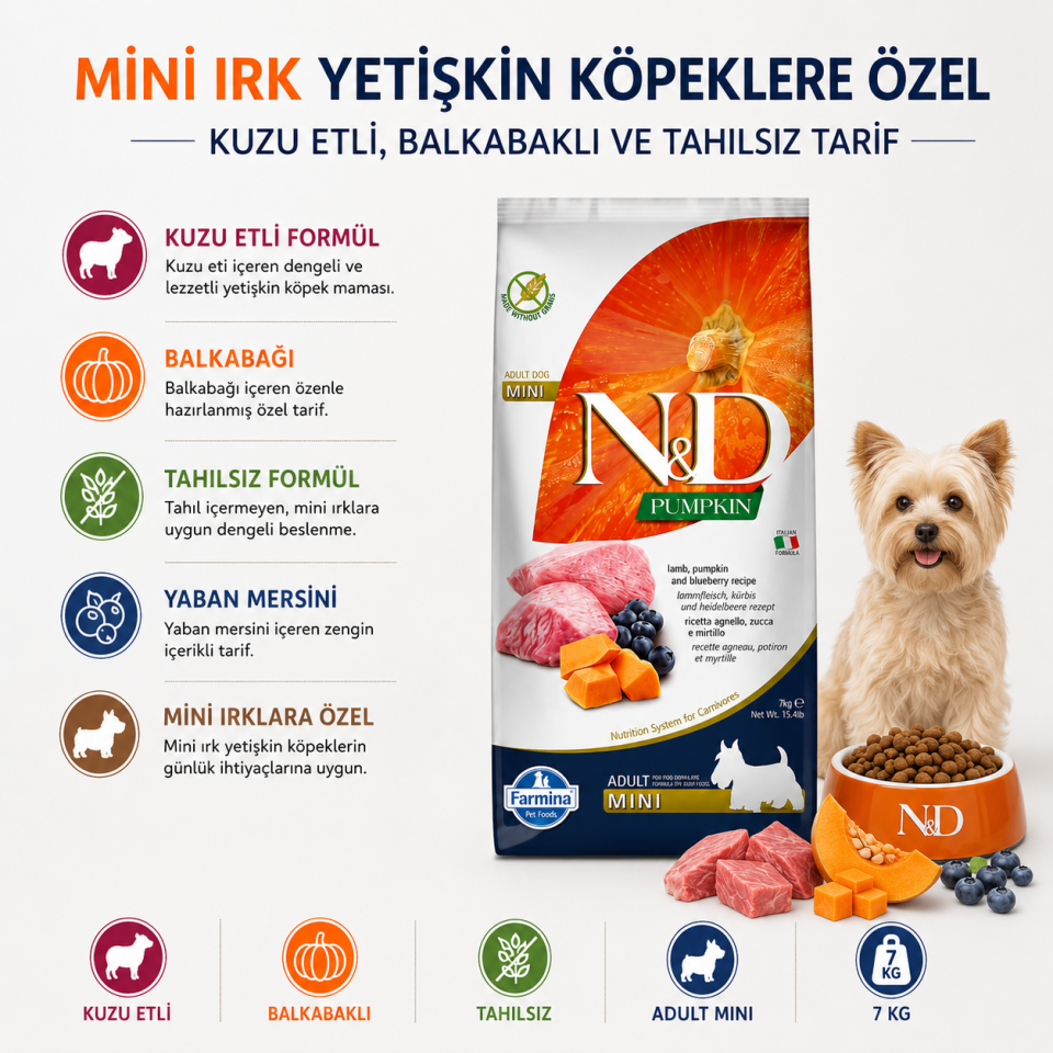 N&D Pumpkin Tahılsız Balkabaklı Kuzu Etli Mini Irk Yetişkin Köpek Maması 7 Kg