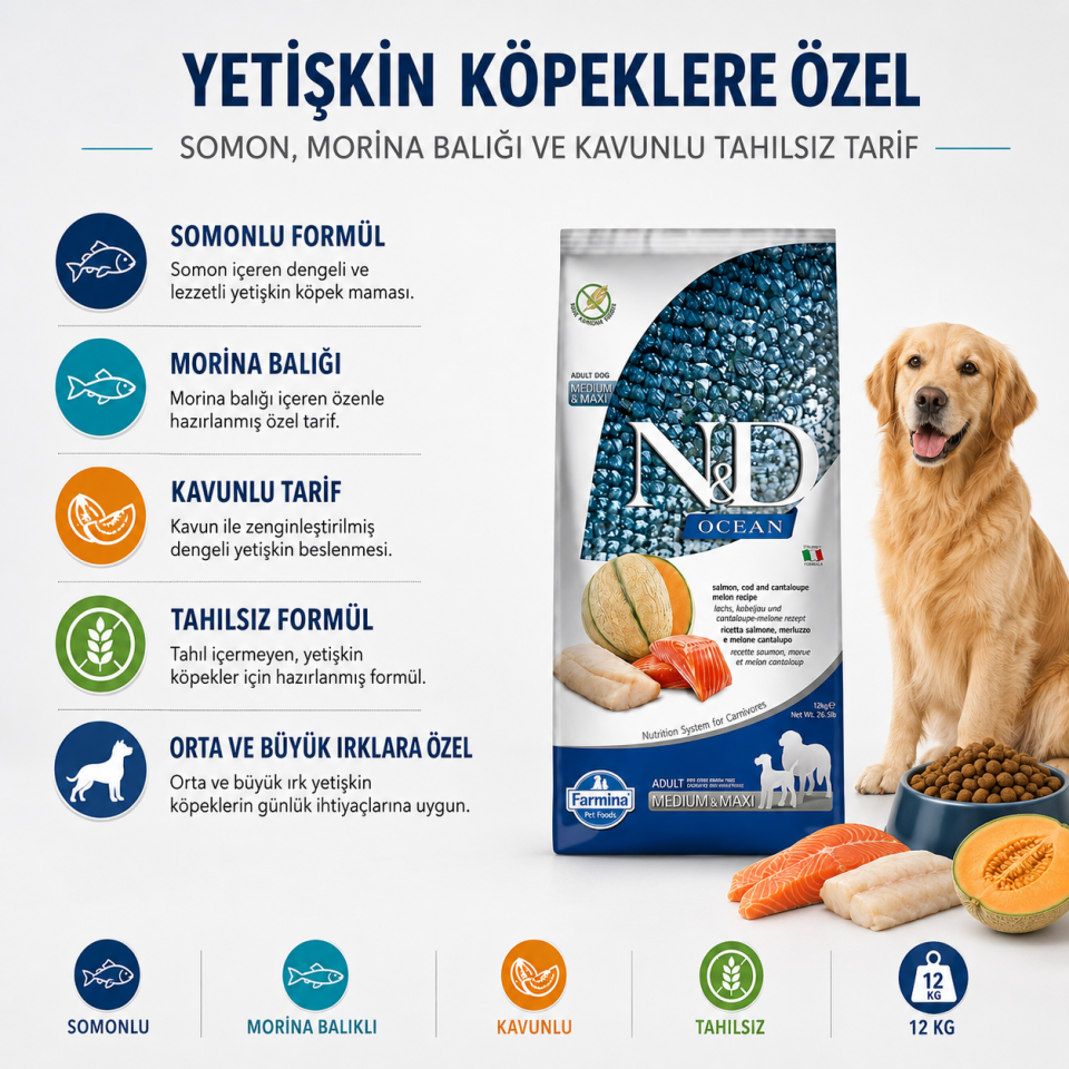 N&D Ocean Somon ve Morina Balıklı Kavunlu Tahılsız Yetişkin Köpek Maması 12 Kg