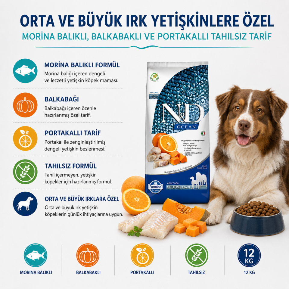 N&D Ocean Tahılsız Balkabaklı Morina Balıklı Köpek Maması 12 Kg