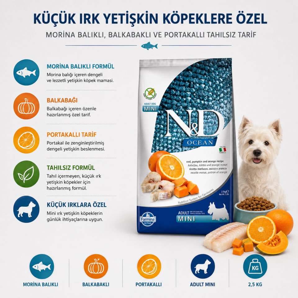 N&D Ocean Tahılsız Balkabaklı Morina Balıklı ve Portakallı Küçük Irk Yetişkin Köpek Maması 2,5 Kg