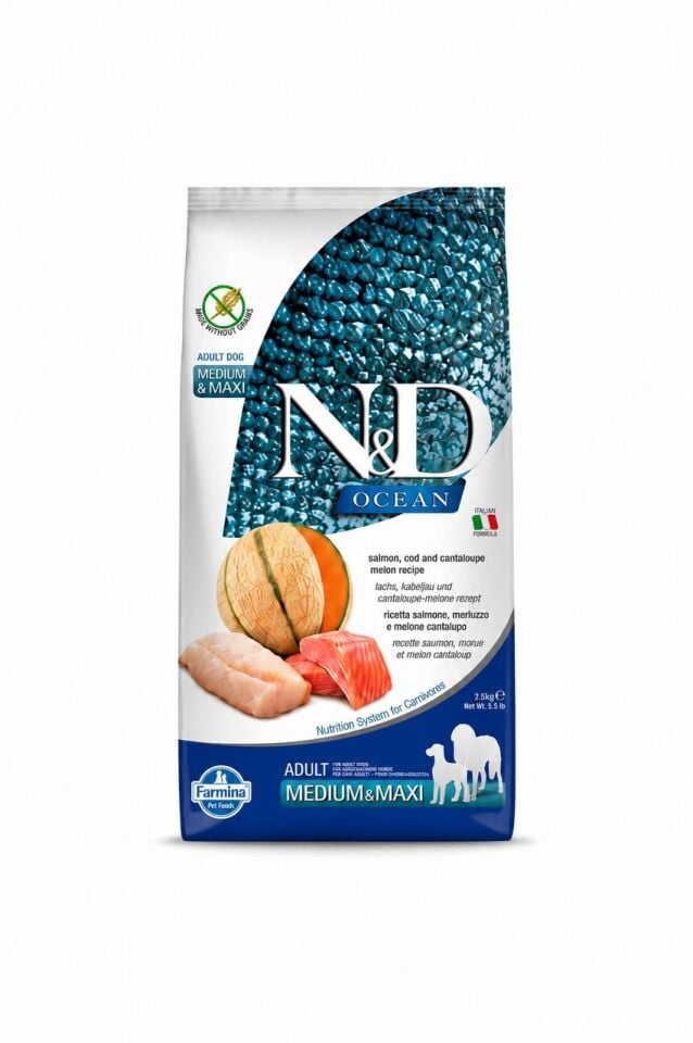 N&D Ocean Morina Balıklı Balkabaklı ve Kavunlu Orta ve Büyük Irk Tahılsız Yetişkin Köpek Maması 2,5 Kg