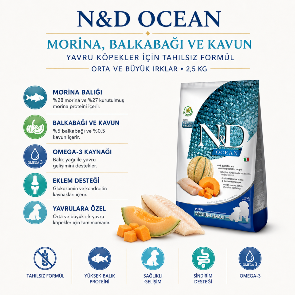 N&D Ocean Morina Balıklı Bal Kabaklı ve Kavunlu Orta ve Büyük Irk Tahılsız Yavru Köpek Maması 2,5 kg