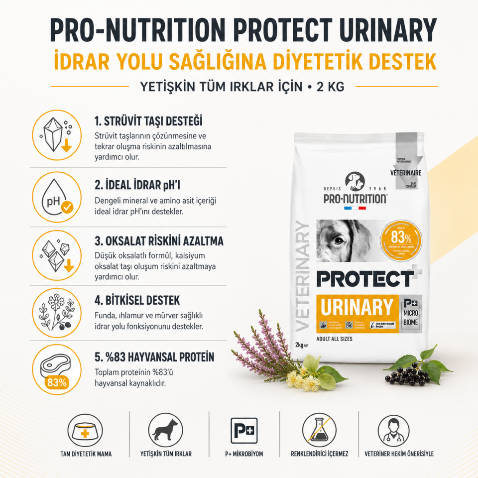 Pro Nutrition Protect Veterinary Urinary İdrar Yolu Sağlığı Destekleyici Köpek Maması 2 Kg
