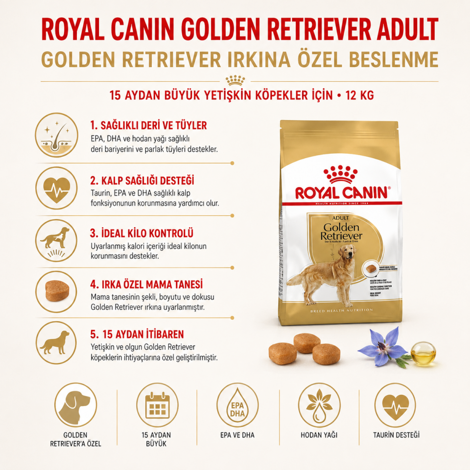 Royal Canin Golden Retriever Yetişkin Köpek Maması 12 Kg