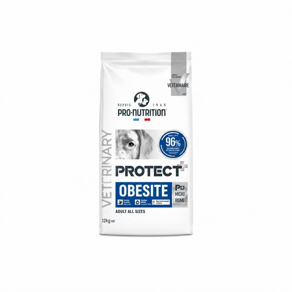 Pro Nutrition Protect Veterinary Obesite Kilo Kontrolü İçin Köpek Maması 12 Kg