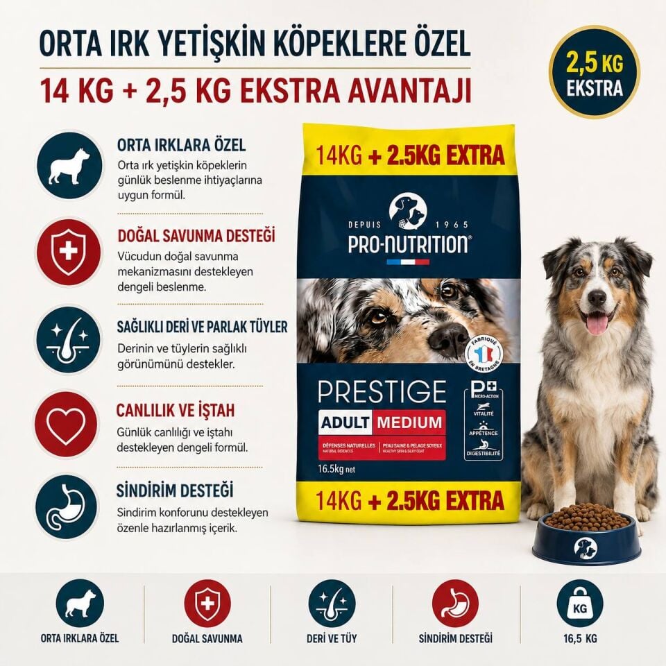 Pro Nutrition Prestige Orta Irk Yetişkin Köpek Maması 14 Kg + 2,5 Kg