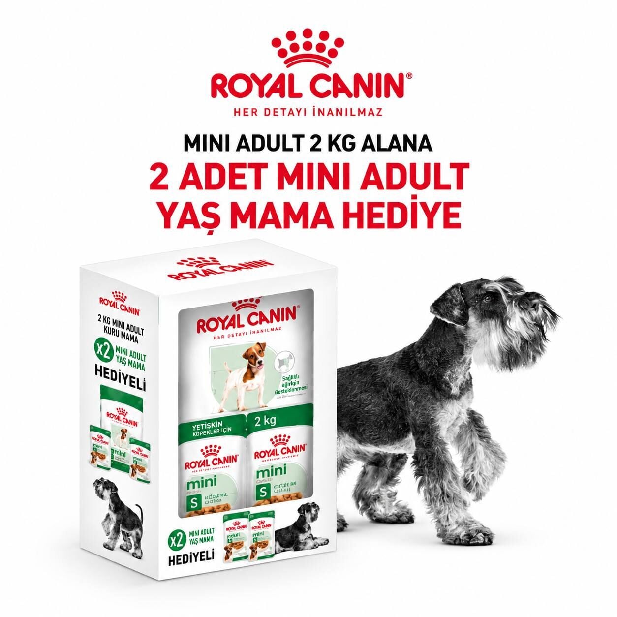 Royal Canin Mini Adult Küçük Irk Yetişkin Köpek Maması 2 Kg + 2 Adet Pouch Hediyeli