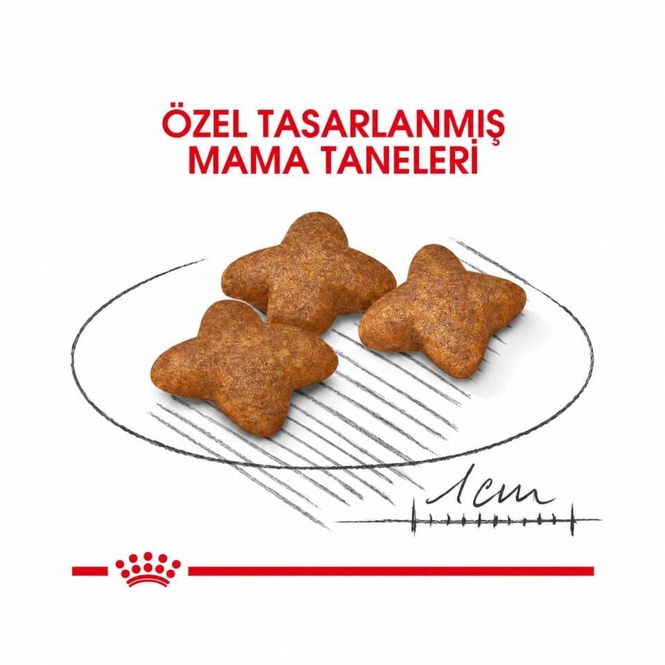 Royal Canin Mini Adult Küçük Irk Yetişkin Köpek Maması 2 Kg