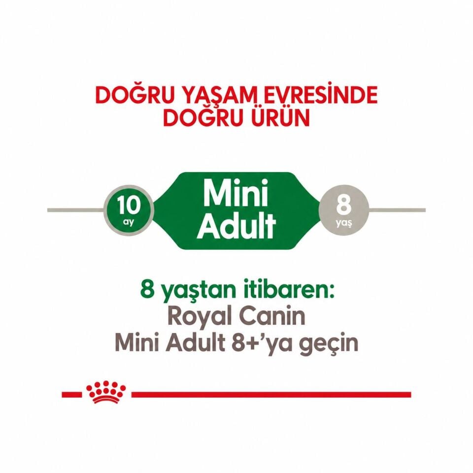 Royal Canin Mini Adult Küçük Irk Yetişkin Köpek Maması 2 Kg