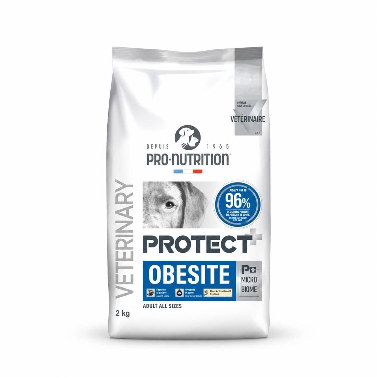 Pro Nutrition Protect Veterinary Obesite Kilo Kontrolü İçin Köpek Maması 2 Kg