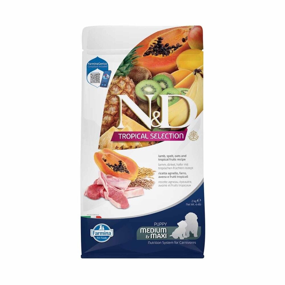 N&D Tropical Selection Düşük Tahıllı Kuzu Etli ve Tropikal Meyveli Orta ve Büyük Irk Yavru Köpek Maması 2 Kg
