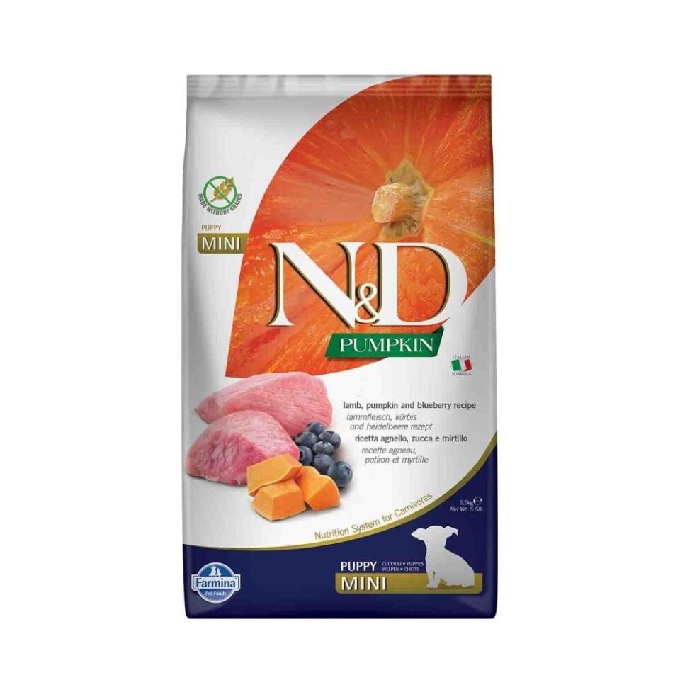 N&D Pumpkin Tahılsız Bal Kabaklı Kuzu Etli Yaban Mersinli Küçük Irk Yavru Köpek Maması 2,5 Kg