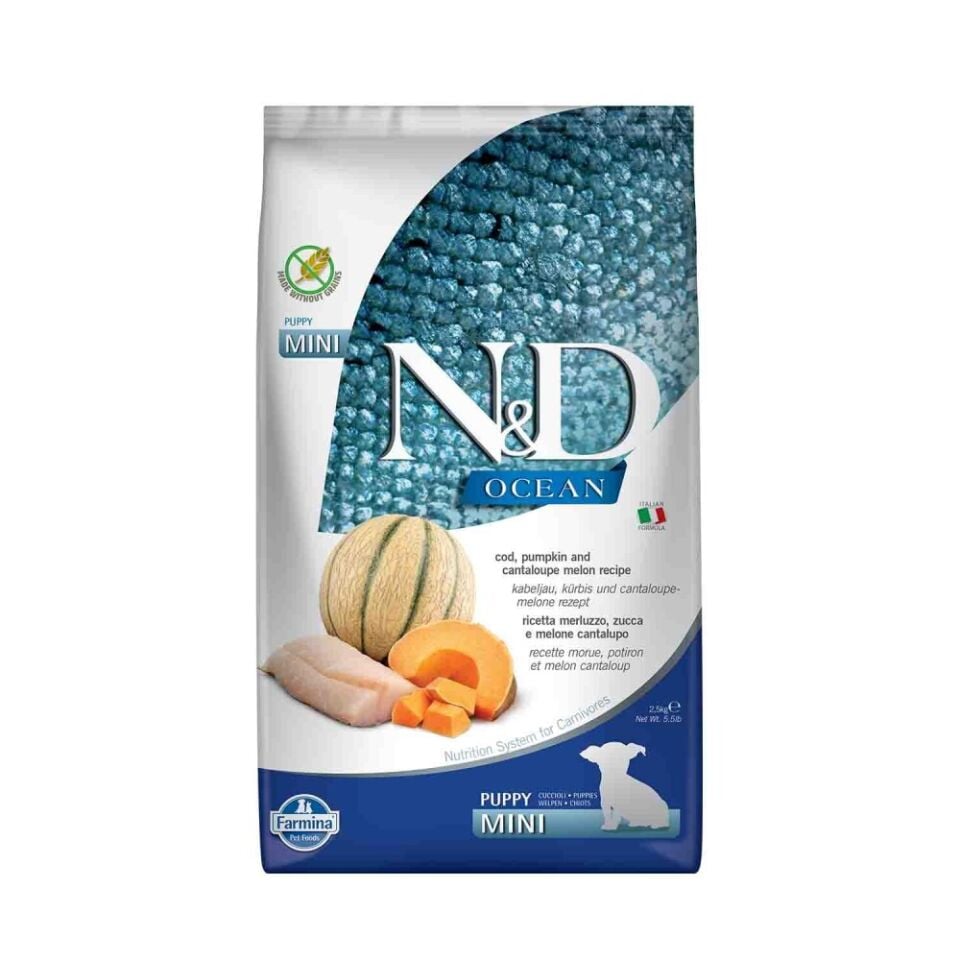 N&D Ocean Morina Balıklı Balkabaklı ve Kavunlu Küçük Irk Yavru Köpek Maması 2,5 Kg
