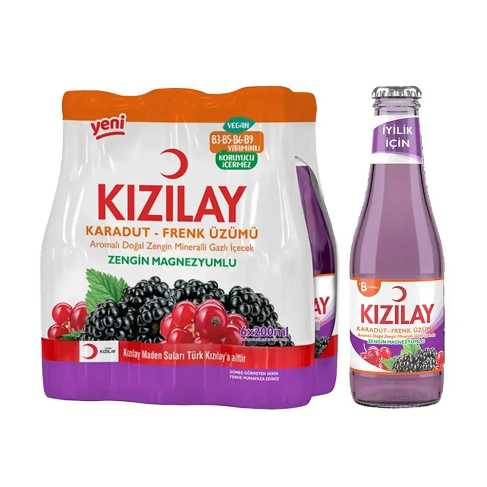 Kızılay Karadut-Frenk Üzümü Maden Suyu 6 x 200 Ml