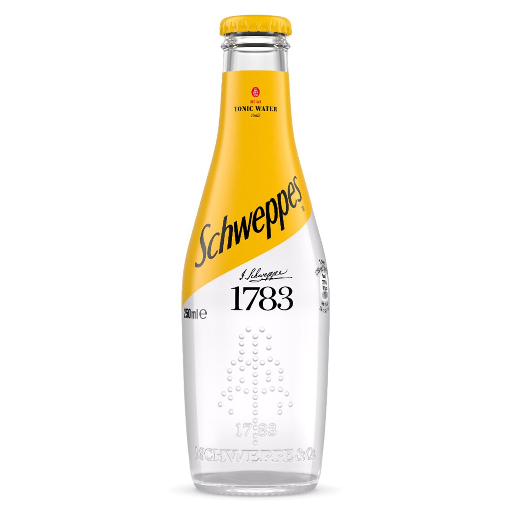 Schweppes Tonik Cam Şişe 250 Ml