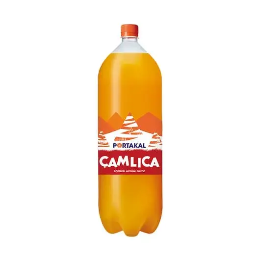Çamlıca Portakal 2,5 L